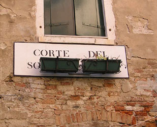 coleoni